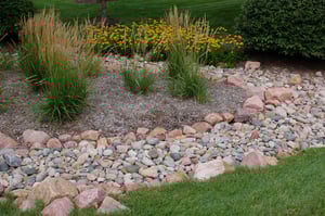 drainage_Dry-Creek-with-Plantingweb
