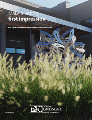 first impression